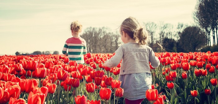 Stock photo of two young white girls walking through a field of red tulips
