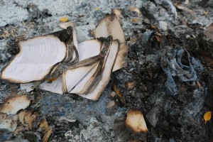 Stock photo of a book that has been burned
