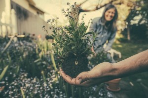 Stock photo of a gardener unearthing a flower with a smiling woman in the background