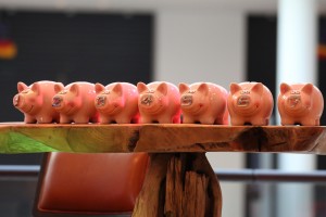 Group of small pig figurines