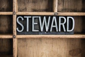 The word "STEWARD" written in vintage metal letterpress type in a wooden drawer with dividers.