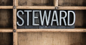 The word "STEWARD" written in vintage metal letterpress type in a wooden drawer with dividers.