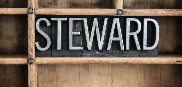 The word "STEWARD" written in vintage metal letterpress type in a wooden drawer with dividers.