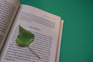 Stock photo of a book opened up to a page with a green leaf marking where the reader left off