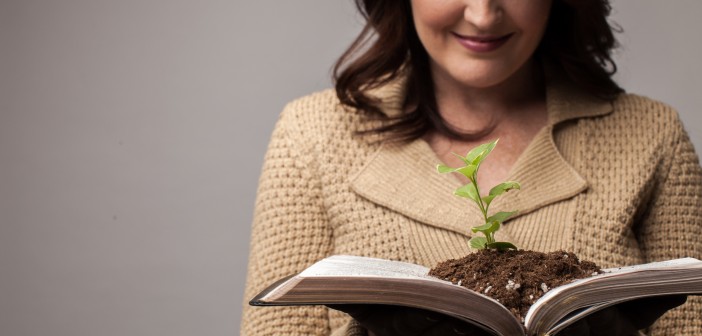 Stock photo of a white woman holding open a book that has a small green plant planted in it
