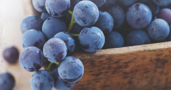 Photo of purple grapes in a bowl