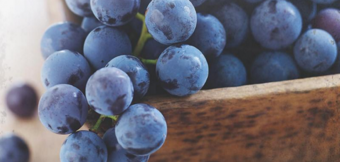 Photo of purple grapes in a bowl