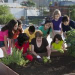 Photo of an adult and children working in an urban garden