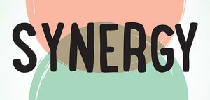 Synergy: A Leadership Guide for Church Staff and Volunteers
