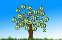 What Church Leaders Need to Know About Grants and Crowdfunding A tree with bags of money growing on it. Grants