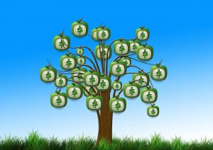 A tree with bags of money growing on it. Grants