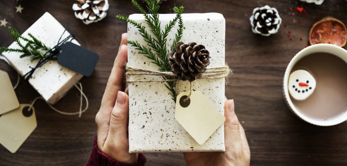 Photo of hands holding a wrapped Christmas gift