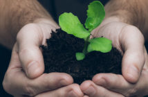 “Protect, Sustain, Grow: Best Practices for Handling Your Church’s Money” Conference and Livestream Hands holding a seedling