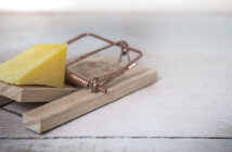 Piece of cheese in a mousetrap
