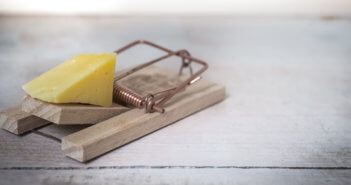 Piece of cheese in a mousetrap