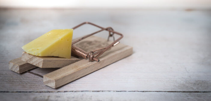 Piece of cheese in a mousetrap