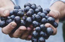A Gracious Invitation to Generosity Person's hands offering a big bunch of grapes
