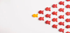 Many small fish together as a big group