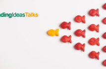 Episode 36: “Think Big” featuring Joe Daniels Small fish together in a big group