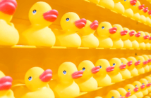 How to Keep Your Leadership Pipeline Full Rubber ducks in a row