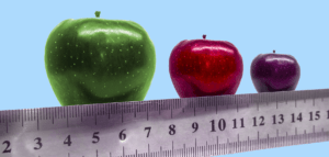 A ruler beneath a row of three applies in large, medium, and small sizes