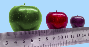 A ruler beneath a row of three applies in large, medium, and small sizes