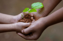 6 Reasons Your Church Needs a Planned Giving Program Seedling being passed from an adult's hands to a younger person's hands