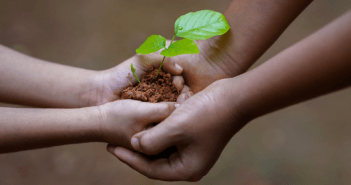 Seedling being passed from an adult's hands to a younger person's hands