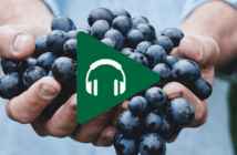Episode 79: “A Transformative Approach to Church Finances” featuring Lovett H. Weems Jr. and Ann A. Michel Person's hands offering their bountiful first fruits