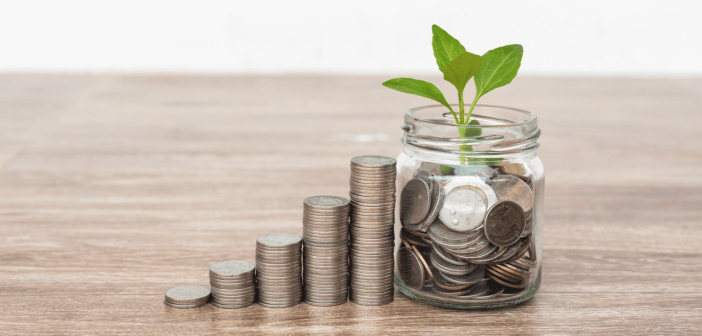 Stacks of coins increasing in height and a seedling growing from a small vase filled with coins