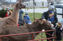 10 Tips for Hosting A Live Nativity