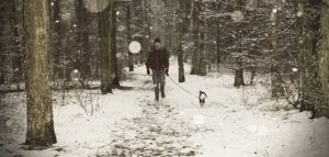 A person walking a dog on a path in a snowy forest