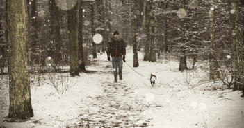 A person walking a dog on a path in a snowy forest