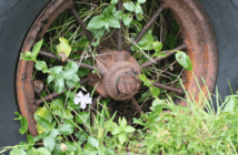 Keeping Your Meetings from Getting Stuck in the Weeds Tractor wheel overgrown with weeds