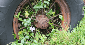 Tractor wheel overgrown with weeds