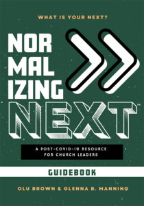 Normalizing Next book cover