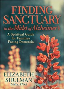 Finding Sanctuary book cover