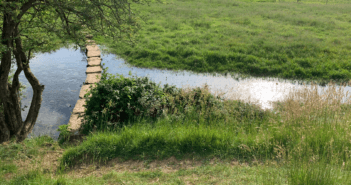 Stepping stones pathway