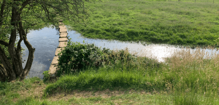 Stepping stones pathway