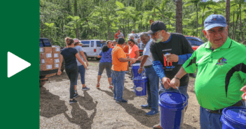 Volunteers for a line to pass supplies