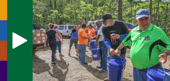 Volunteers for a line to pass supplies