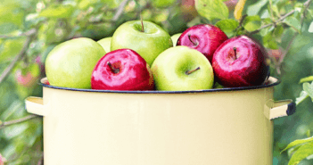 Bucket full of apples