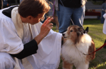 Photo from The Hingham Anchor featuring a Community Pet Blessing by Episcopal Parish of St. John the Evangelist and Second Parish Unitarian Universalist. https://www.hinghamanchor.com/st-johns-to-host-pet-blessing/