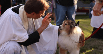 Photo from The Hingham Anchor featuring a Community Pet Blessing by Episcopal Parish of St. John the Evangelist and Second Parish Unitarian Universalist. https://www.hinghamanchor.com/st-johns-to-host-pet-blessing/