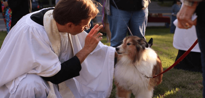 Photo from The Hingham Anchor featuring a Community Pet Blessing by Episcopal Parish of St. John the Evangelist and Second Parish Unitarian Universalist. https://www.hinghamanchor.com/st-johns-to-host-pet-blessing/