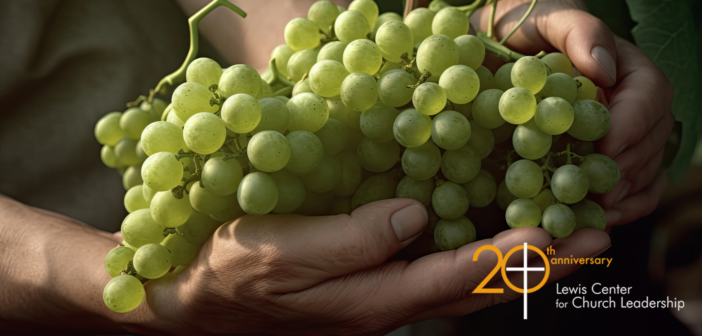 Open hands holding a bounty of grapes